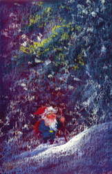 cc30 Gnome in Winterland