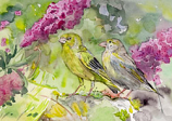 Postcard: AW1081 Greenfinch